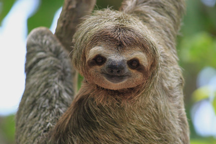 costa-rica-do-caribe-ao-pacifico-897_0.jpg